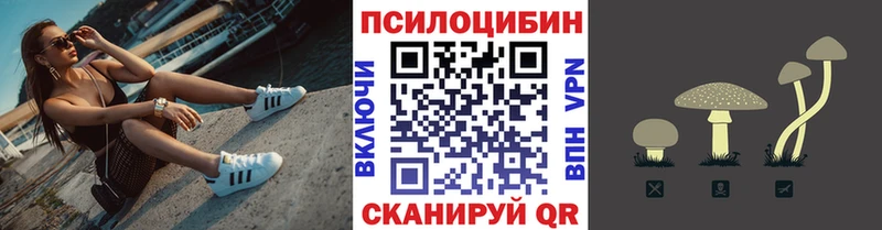 Галлюциногенные грибы MAGIC MUSHROOMS  купить закладку  Курган 