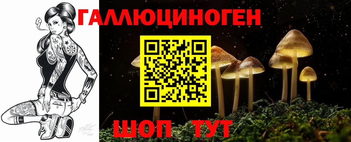 Псилоцибиновые грибы GOLDEN TEACHER  что такое   Курган  Вход с VPN 