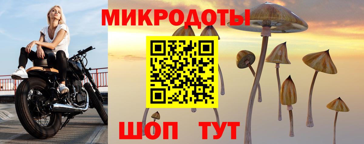 Псилоцибиновые грибы мухоморы Курган